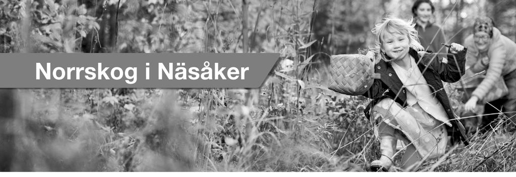 I samverkan: www.pro.se/ramsele-edsele FN-tema på skolan V 43 Detta avslutar skolan och... förskolan med en ljuständning.