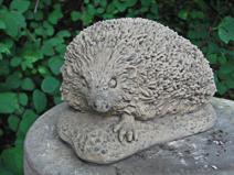 cm 11 kg Otter WL 09