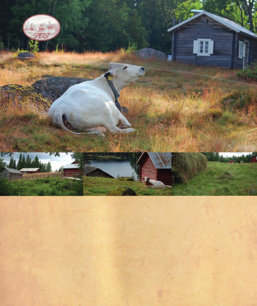 Annika hade allts barnet Maria innan hon trffade Henrik. Om Henrik Flatsen som nu flyttats till Nyskoga frn Norra Ny,Maria dog 1883-10-05 Annars finns i Edane en tjej som har anorna i stort sett rakt bakt till Hindrik. Visa inlgg - nissan | Anbytarforum