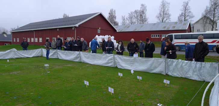 Bild 10. Deltagare på ett seminarium om vinterstress på sportytor besöker försöksgreenen på NIBIO I Apelsvoll i November 2014.