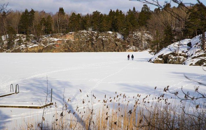 Hållbar mark- och vattenanvändning När staden växer ska hänsyn tas till Stockholms blå och gröna värden.