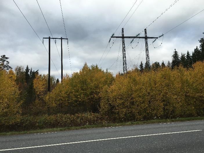 Ledningsgatan röjs kontinuerligt ca var 8e år och kommer att göras så fortsättningsvis om ledningen får fortsatt tillstånd. Figur 3.