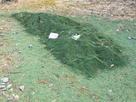 Granulatsnö behöver alltså hanteras separat från annan snö och ska inte heller läggas upp direkt på naturmark (kan indirekt bli en VA-fråga).