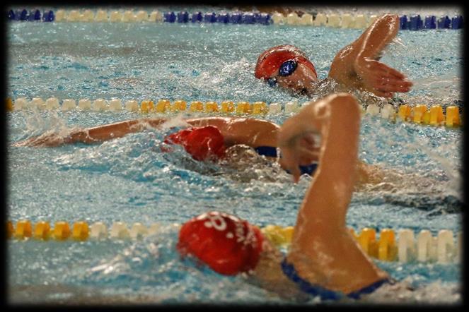 Resa till och från tävling Vid tävlingar som arrangeras inom Småland så är det varje simmares eget ansvar att ta sig till och från tävlingen.