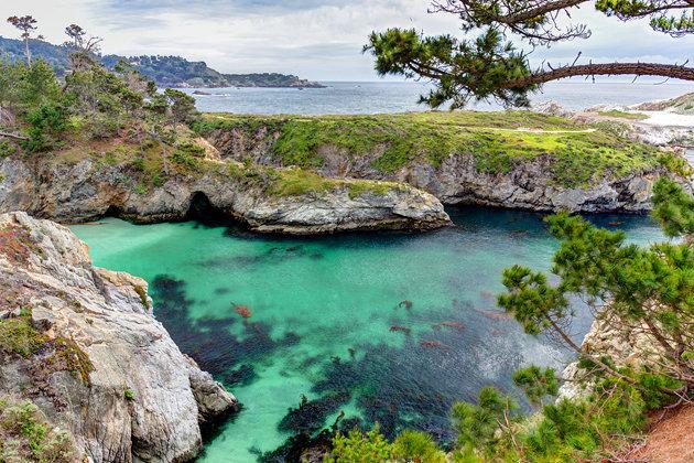 Point Lobos Kaliforniakondor Dag 4: (11 sept.