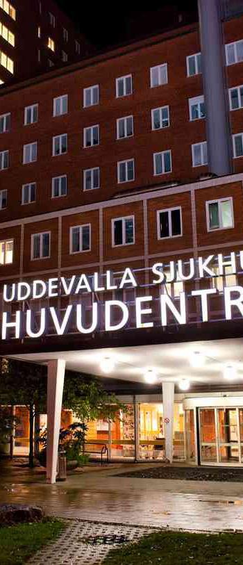 Villkor och anvisningar (forts.) Teckning utan stöd av företrädesrätt Teckning av aktier ska även kunna ske utan stöd av företrädesrätt.