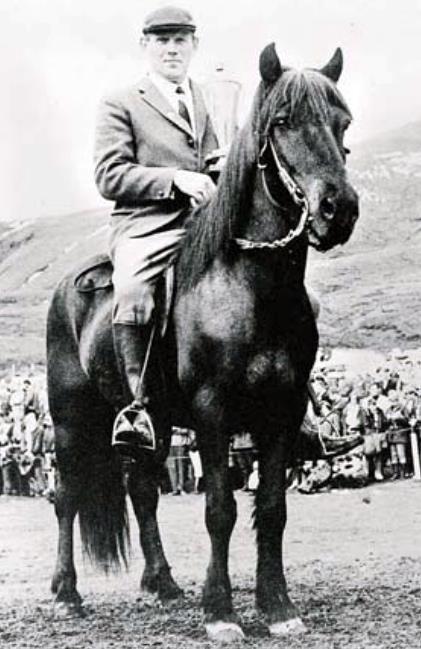 Landsmóten fortsatte att genomföras och utvecklas även under Þorkells tid.