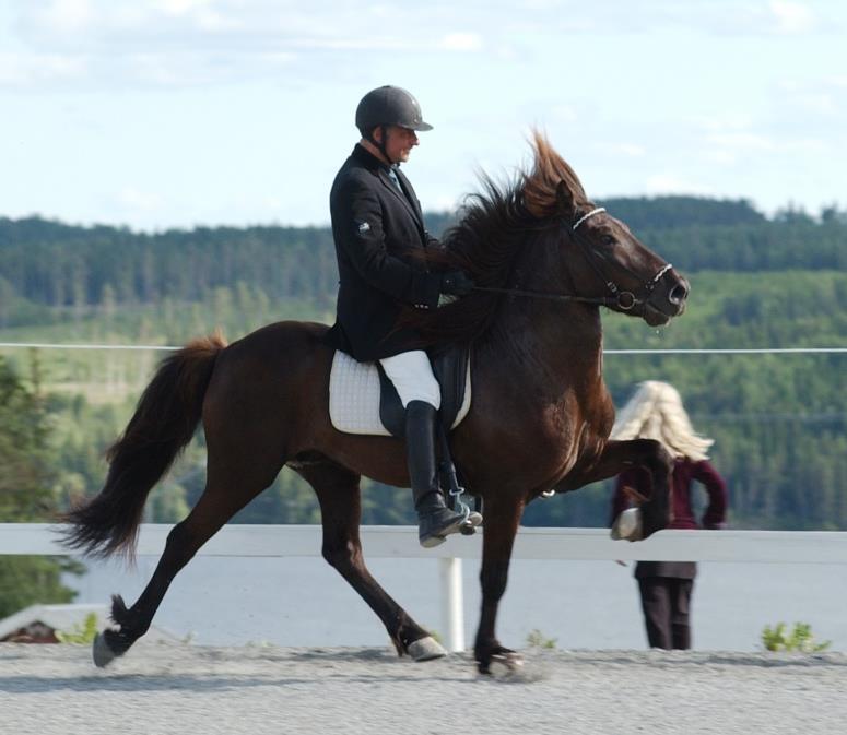 Svalur köptes av Göran Häggberg och importerades till Sverige år 1987.