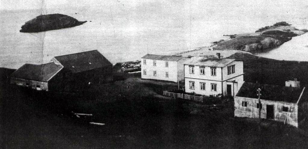Pálmi på Svaðastaðir. Hartmann Ásgrímsson, Sigurmons far hade år 1920 fått några ston som härstammade från ett välkänt sto i området; Hólagrána som hade köpts från Svaðastaðir runt 1860.