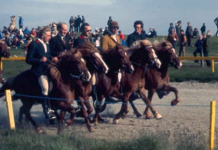 Hon visades sedan igen på Landsmót 1994, då 15 år gammal där hon fick rekordhöga poäng; 8,40 för exteriör, 9,23 för ridegenskaper och 8,81 i totalpoäng.