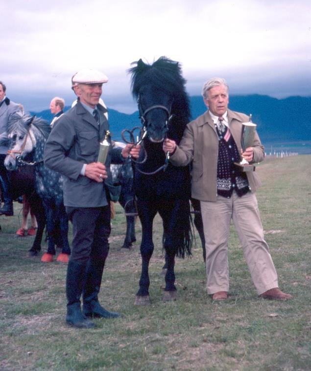 13. Viktiga hingstar Även om det inte handlar om rena avelslinjer som det tidigare har skrivits om så finns det även ett antal individer som har visat sig viktiga i avelsarbetet med islandshästar.