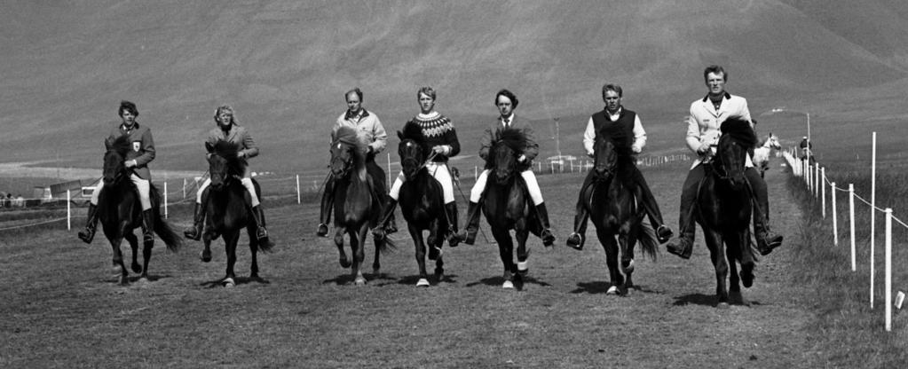 .1. Hrafn 802 frá Holtsmúla Hrafn föddes 1968 och är den hingst som har påverkat islandshästaveln mest och således är vanligt förekommande i stamtavlor hos dagens hästar.
