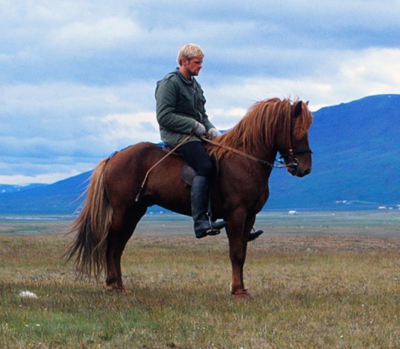 13.4. Hervar 963 frá Sauðárkróki Hervar föddes 1976 hos Sveinn och Guðmundur på Sauðárkrókur.