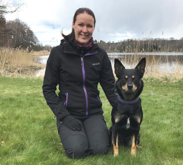 Sandra Gisslar Walkabout Myx - Myx Ras: Australian kelpie Ålder: 3 år Tävlar för: Väsby brukshundklubb Myx är en glad kille som älskar att jobba.