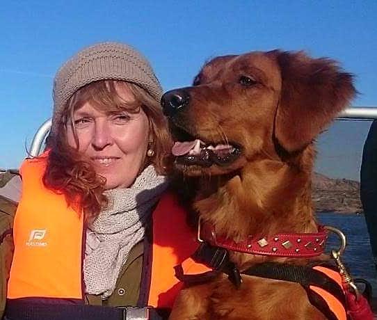 Helena Lindholm Rebusdalens Ginger - Ginger Ras: Golden retriever Ålder: 2 år Tävlar för: Lerums brukshundklubb Om jag ska välja