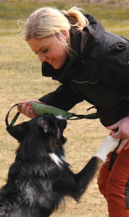 Alexandra Sindell Sjövallarens Argo - Scott Ålder: 2 år Tävlar: Klass 3 Tävlar för: Smålandsstenar brukshundklubb Nämn några av din hunds styrkor då det gäller träning eller tävling: När Scott väl