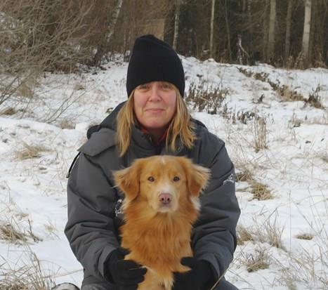 Katrin Karlsson Redrivals Pintail for Fox - Redo Ras: Nova scotia duck tolling retriever Ålder: 2 år Tävlar för: Stockholms Södra brukshundklubb En av Redos styrkor