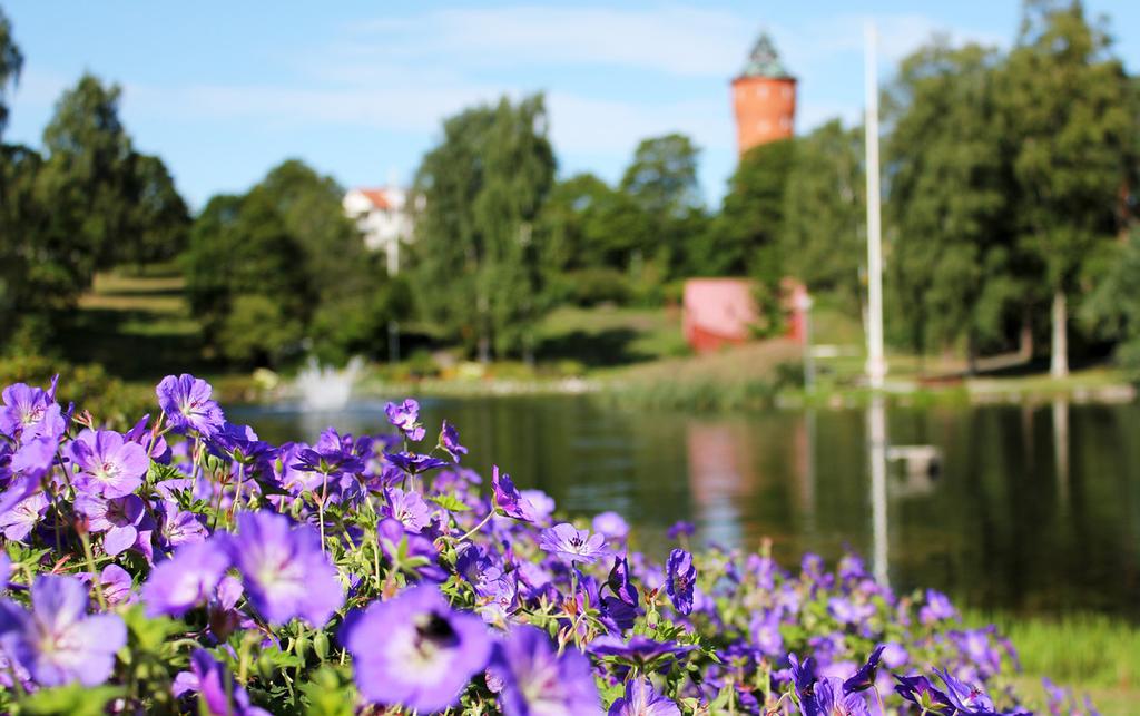 Avkoppling, umgänge och motion Sjöparkens växthus Parkens omfattande perennplanteringar, konstgjorda sjöar och promenadstråk utgör en fantastisk plats för avkoppling och rekreation.