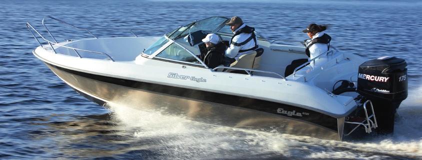 Eagle 650 NYHET Silver-flottans toppnivå blir mångsidigare med denna nyhet inför säsongen 2009.