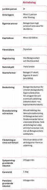 Varför just ett aktiebolag? I vår förenings styrelse har vi diskuterat möjligheten att bli ägare eller delägare i ett företag under flera år.