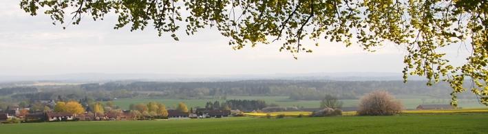 Verksamhetens utveckling Sedan starten av föreningen ARNA i Fågelriket november 2011 har vår verksamhet vuxit.
