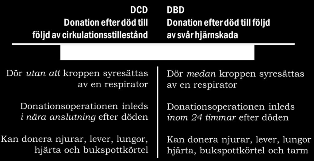 I möjligaste mån skall DBD först eftersträvas, eftersom denna typ av donator kan donera fler organ.