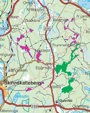 Flodkräfta Kalkad sjö Målområde Stora Kedjen Skäftbäcken VS436 Lilla Kedjen Kedjebohammar Flodkräfta 1 km VS14 Figur 3.