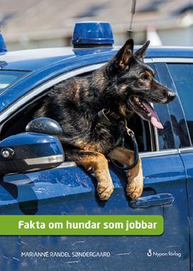 SIDAN 7 Sant eller falskt? Sant Falskt 1. En vallhund hjälper till att vakta djur. 2. Det finns över 500 olika hundraser i världen. 3. Det finns hundar som kan nosa upp narkotika. 4.