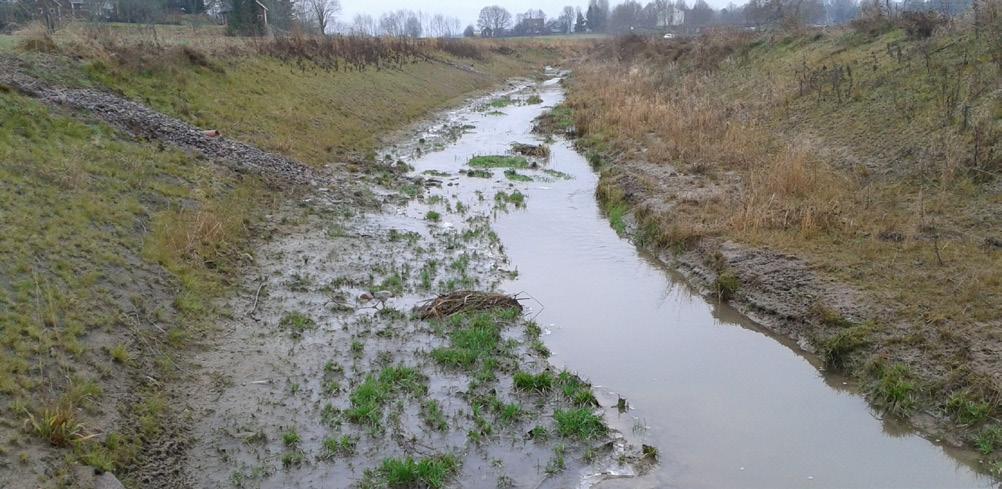 Låg terrass med våtmarkskaraktär, och risk för erosion. (foto Anuschka Heeb) Exempel ur praktiken.