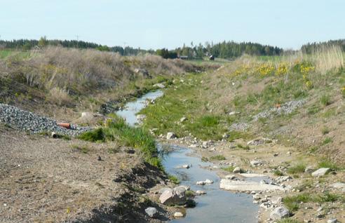 Bottenlutning Bottenlutningen på det befintliga diket, den så kallade bottenprofilen, påverkar vattnets hastighet som i sin tur påverkar om det blir erosion eller sedimentation på botten och i