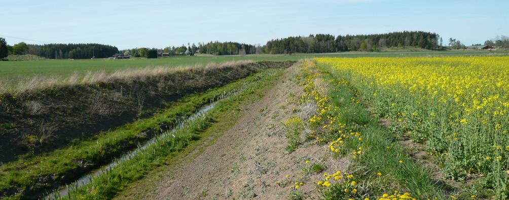 En markavvattningssamfällighet kan även omprövas så att den upphör att gälla.