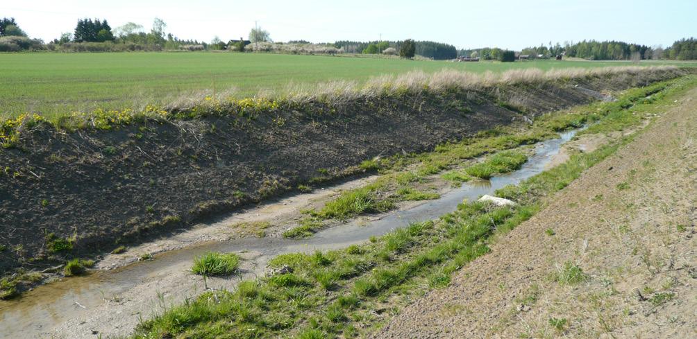Terrassen har eroderat bort och mittfåran har börjat meandra. (foto Tilla Larsson) ut som de gör i ansökan.