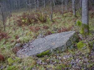 Ristningen består endast av ett kors med runor och punkter i korsarmarna. Den upptäcktes år 1900.