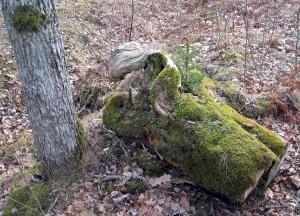Ett mäktigt stenblock.