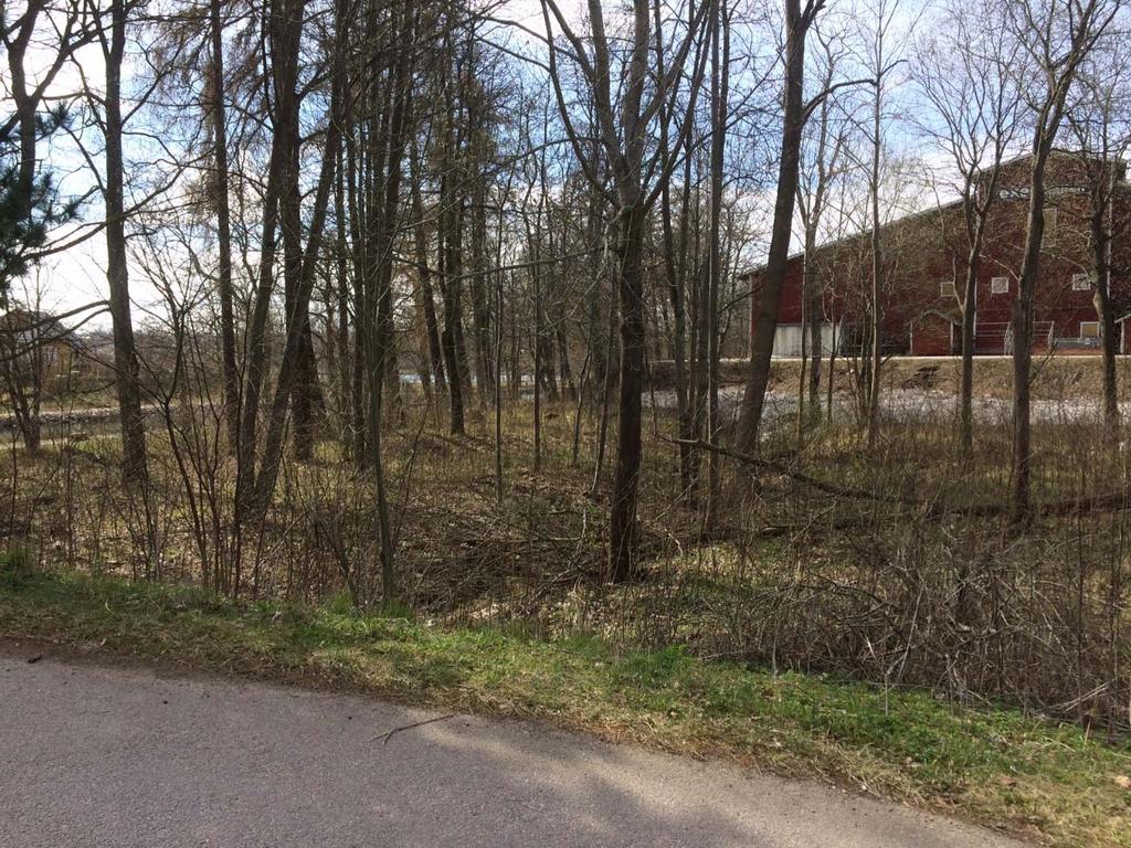 Aktivitetshall (Del av Innerstaden 1:317) Motala kommun Förslag dagvattenhantering Bilaga 3 Fotosammanställning Bild 5.