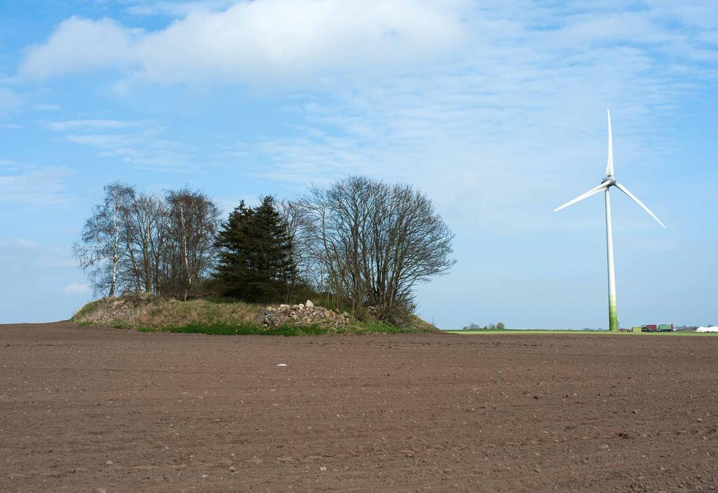 Bekämpa därför ohävdsvegetation som brännässlor, hundkäx och åkertistel och röj undan träd, buskar och sly som hotar med igen växning.