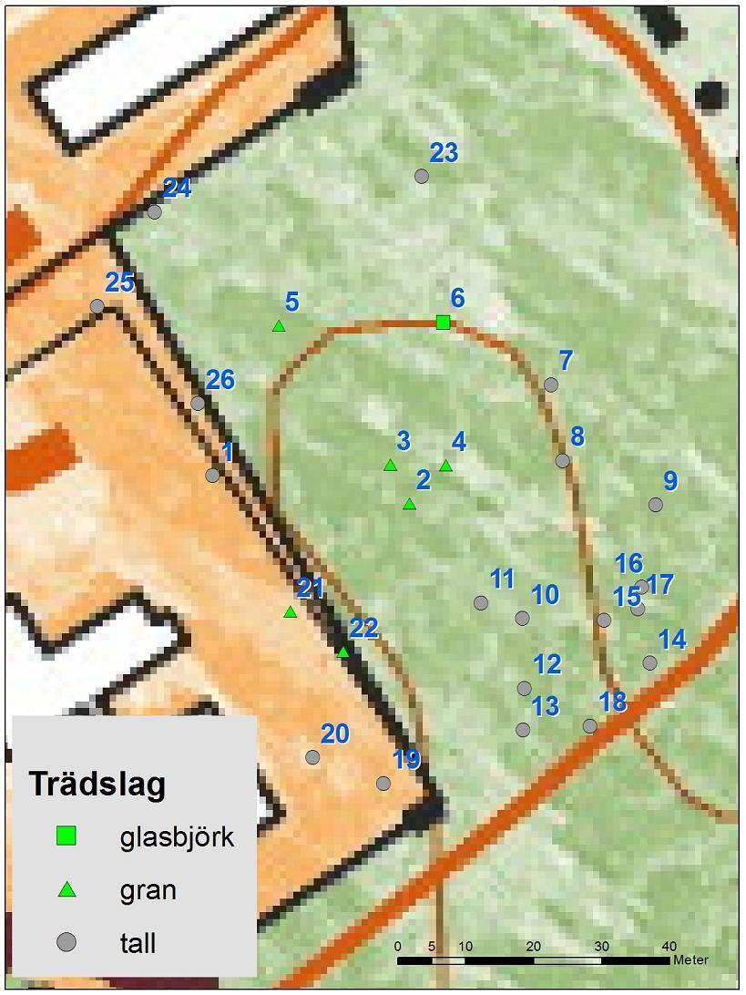 7 Värdeelement (träd) med biologiska naturvärden Inom området och i dess direkta närområde påträffades 26 värdeelement i form av träd som bedömdes vara särskilt viktiga för biologisk mångfald.