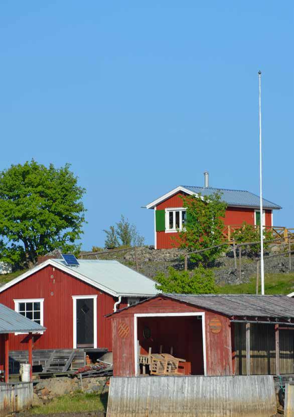 BASTU KRYSSNINGAR TURBÅTAR