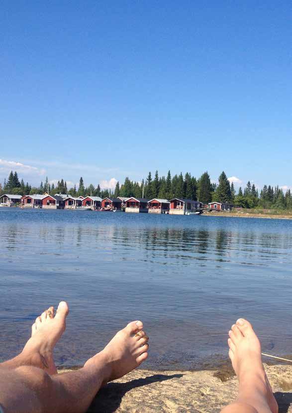 Hyr en stuga i Luleå