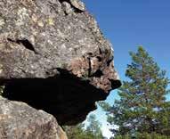 ö att besöka om man vill uppleva riktig skärgårdsnatur, de flesta av skärgårdens olika naturoch djurtyper finns samlade här.
