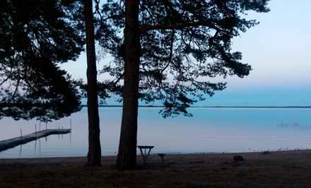 Det var i somras som en kvinna var vid föreningens badplats Botten i Kungsör och råkade ut för att en lösspringande hund med koppel snodde in hennes ben i kopplet.