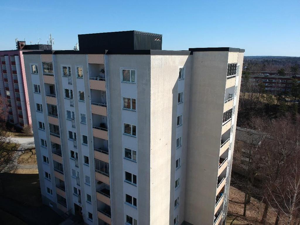 Fasad Bakgrund och behov av renovering Fasader uppvisar sprickor, rinningar, rostsprängningar, missfärgningar, gamla dåliga lagningar, microbiell påväxt av alger etc.