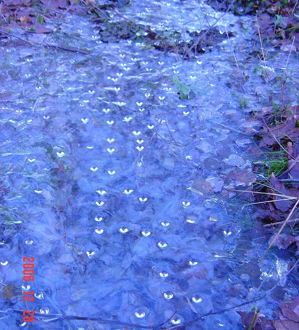 Teardrops December 2017 Teardrops, vart är vi på väg? Ser ni stenen där i skogsbrynet, det är dit vi är på väg, eller minns jag fel, det är så länge sedan.