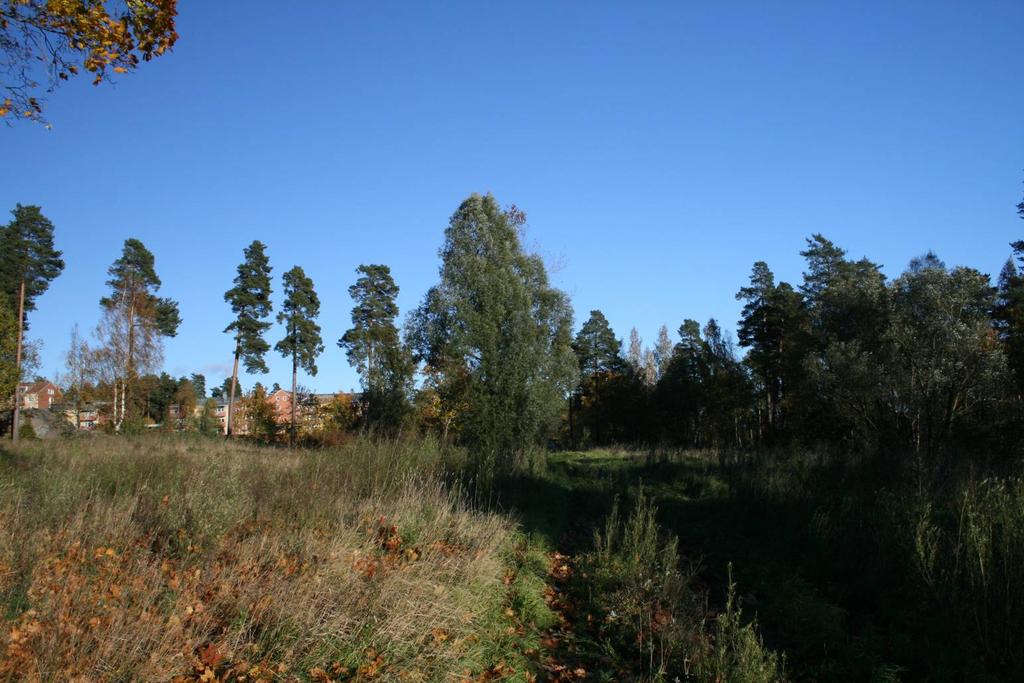 Sid 5 (11) Beslutet om miljöbedömning har föregåtts av en behovsbedömning som utförts av samhällsplaneringsenheten. Behovsbedömningen som togs fram i gällande detaljplan bedöms fortfarande aktuell.
