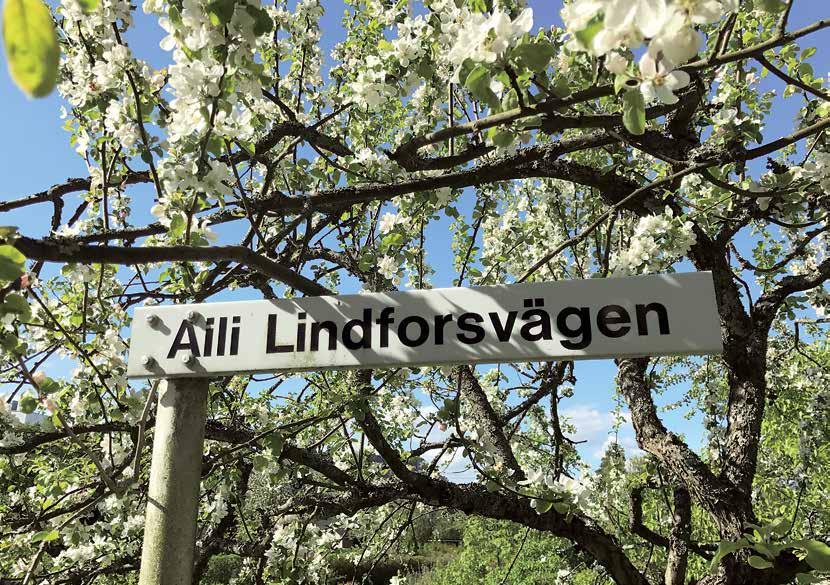 Varmt tack till alla dem som understött vår verksamhet och gjort det möjligt för oss att genomföra ett gott arbetsår.