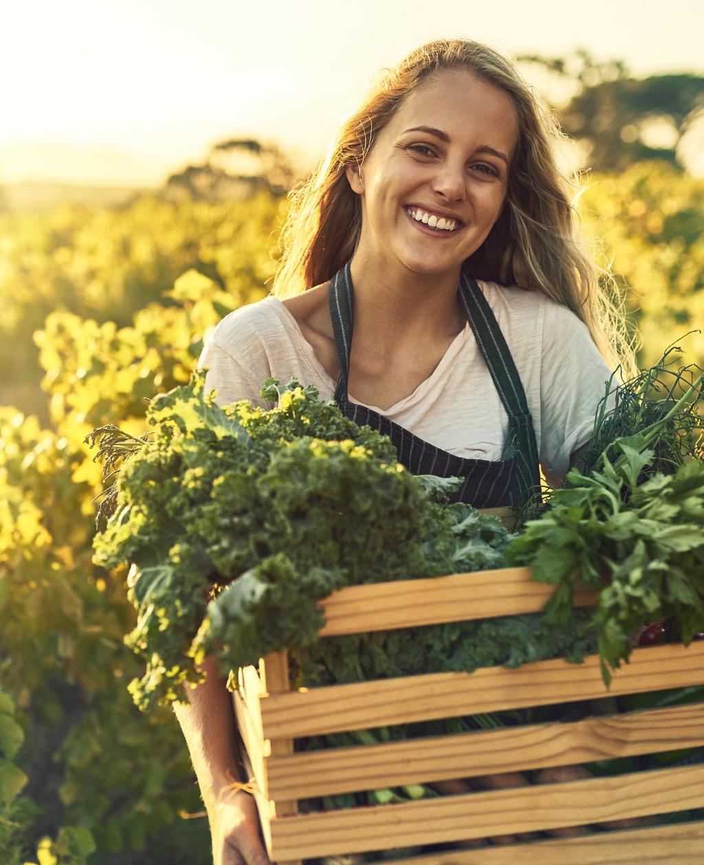 Holistic Sweden AB I info@holistic.
