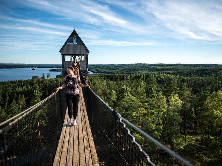 Dessa åtgärder är ofta manuellt utfört arbete utan miljöpåverkan istället för maskinellt utfört arbete.