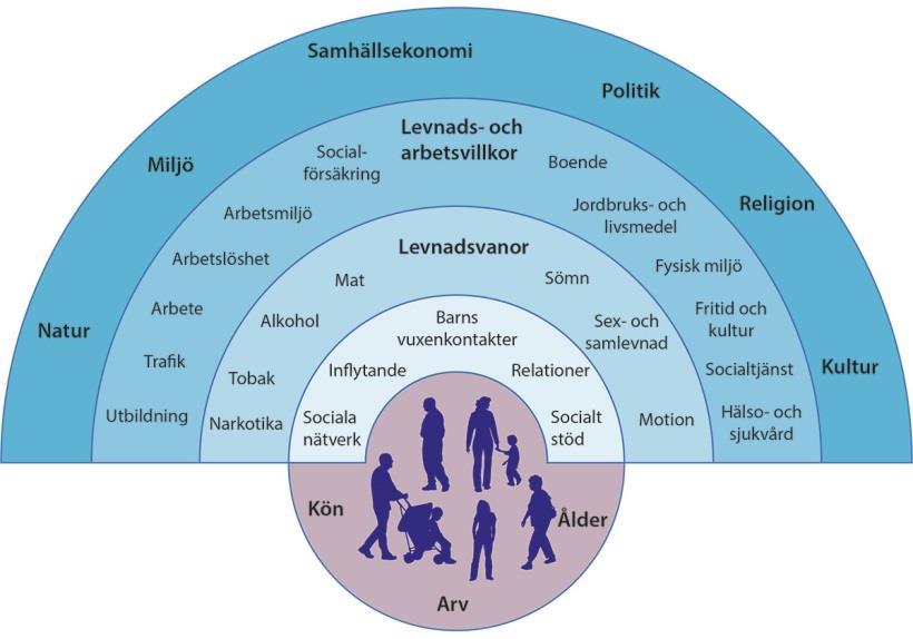 Hälsans bestämningsfaktorer