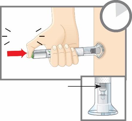 2d Tryck på den gröna injektionsknappen. Det hörs ett ljudligt klick. Klick Håll kvar den genomskinliga bottenplattan mot huden.