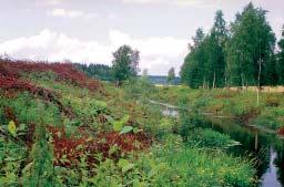 Jarmo Vääriskoski Tero Taponen naturligt sker en ansamling av fast material och där det inte är möjligt att placera en tillräckligt stor våtmark eller sedimenteringsbassäng.